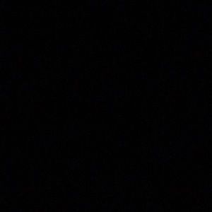 Meet your Posher, Logan